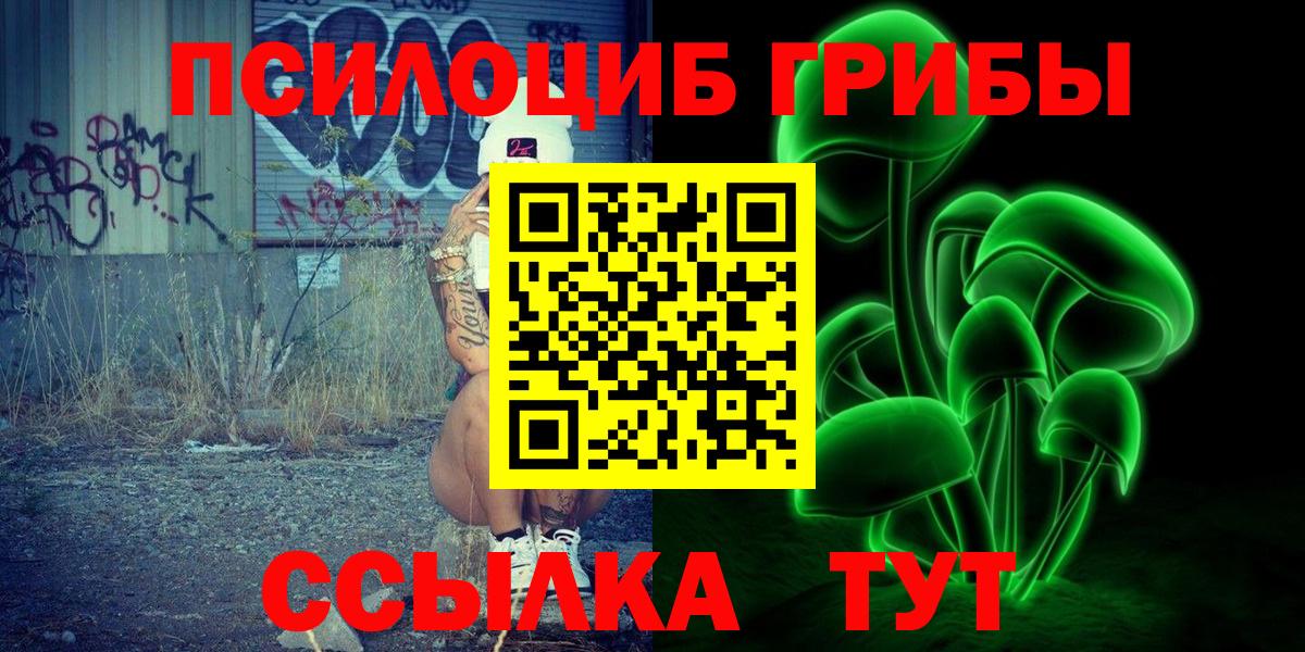 Псилоцибиновые грибы Cubensis Луга