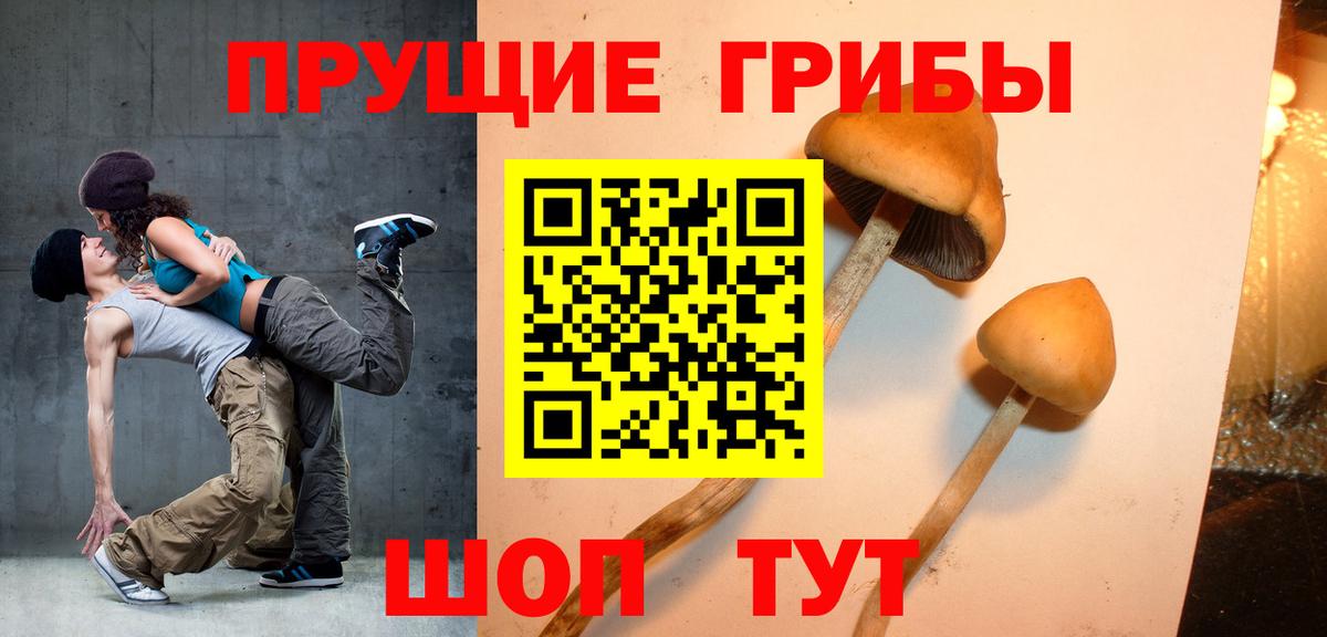 Галлюциногенные грибы GOLDEN TEACHER  Вход с VPN  Луга 